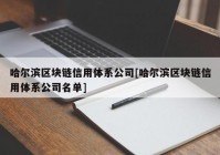 哈尔滨区块链信用体系公司[哈尔滨区块链信用体系公司名单]