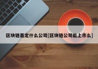 区块链嘉定什么公司[区块链公司能上市么]